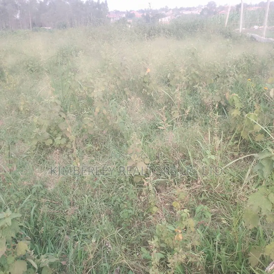 Quick Sale – 2 Plots for Sale