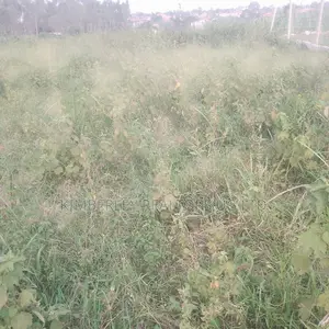 Quick Sale – 2 Plots for Sale