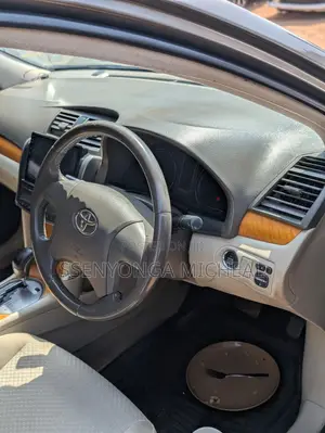 Toyota Premio 2010 Gray