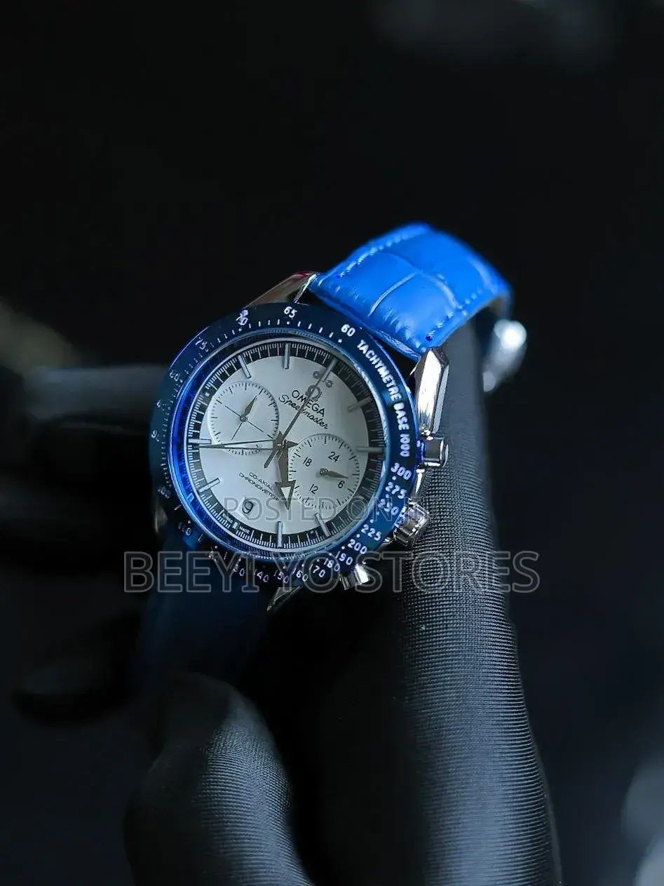 Omega Seamaster Professional