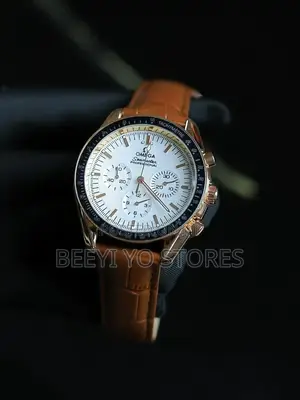 Omega Seamaster Professional
