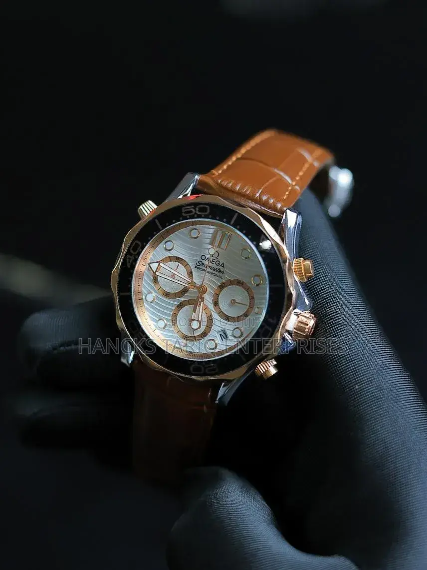 Omega Seamaster Professional