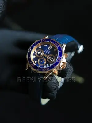 Omega Seamaster Professional