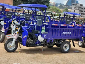 New Tricycle 2026 Green