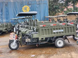 New Tricycle 2026 Green