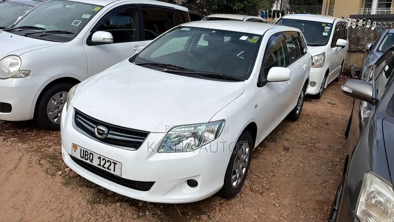Toyota Corolla Fielder 2010 White