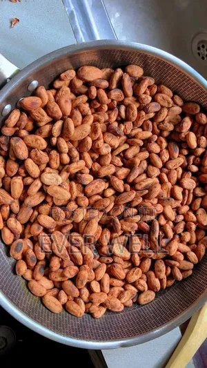 Fermented Cocoa Beans Available
