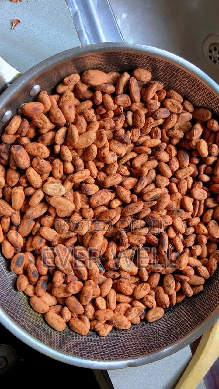 Fermented Cocoa Beans Available