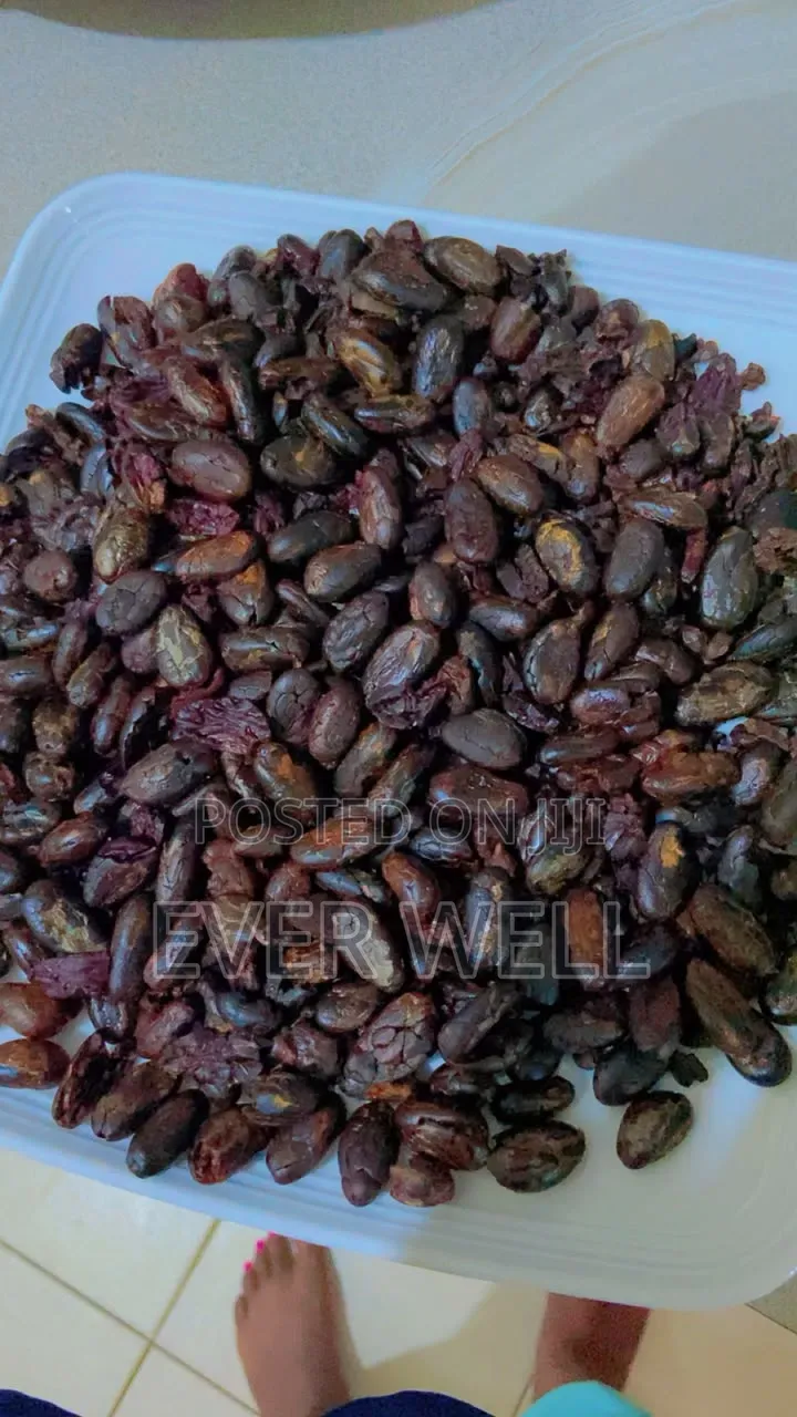 Fermented Cocoa Beans Available