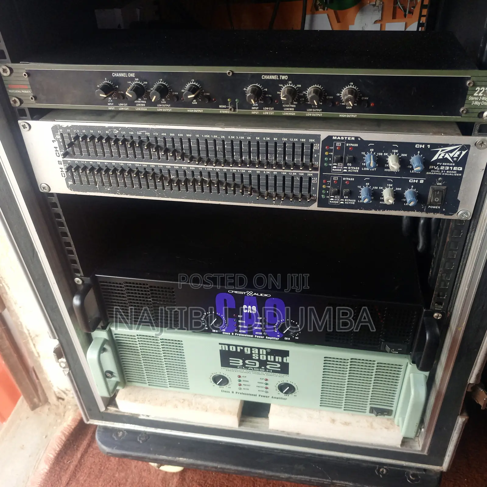 Eq Peavey 231