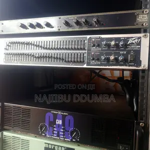 Eq Peavey 231