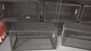 Mouse Trap ~ Rectangular