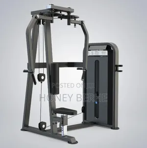 Pec Fly / Rear Delt
