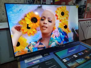 Hisense 43 Digital Flat Screen Flameless