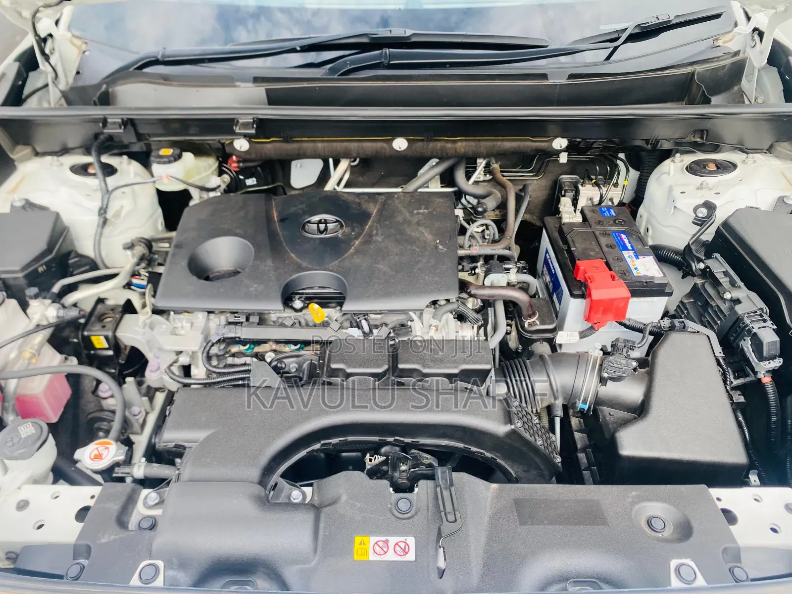 Toyota RAV4 2020 Pearl