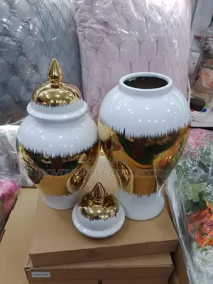 Flower Pots/Vase for Home Decor