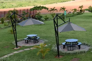 Party Umbrellas