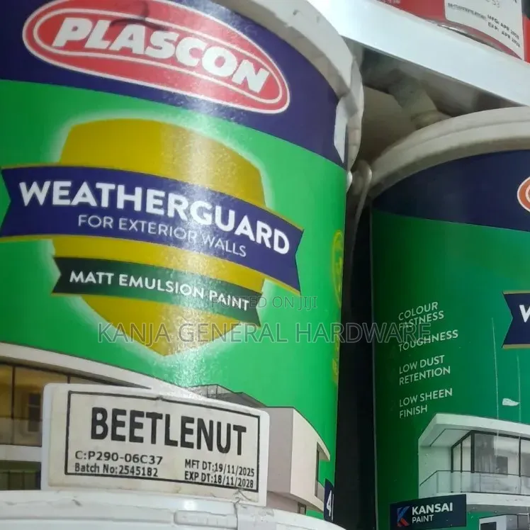 Wheather Paint 20l