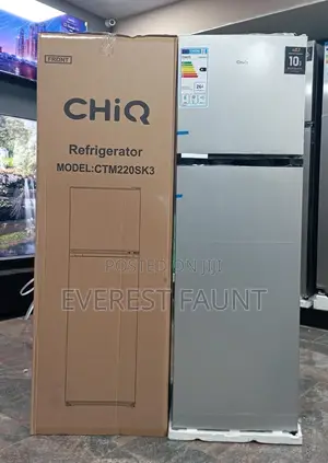 Chiq 220 Liters 256