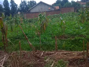 50 by 100 Titled Land