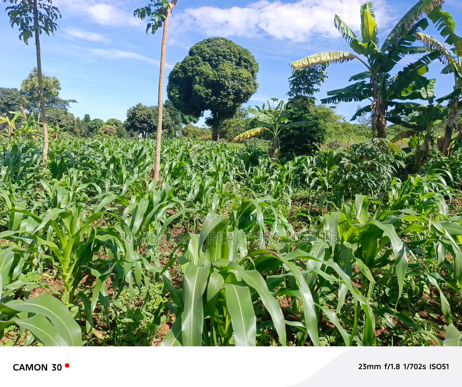  Land for Sale – Rukaaya