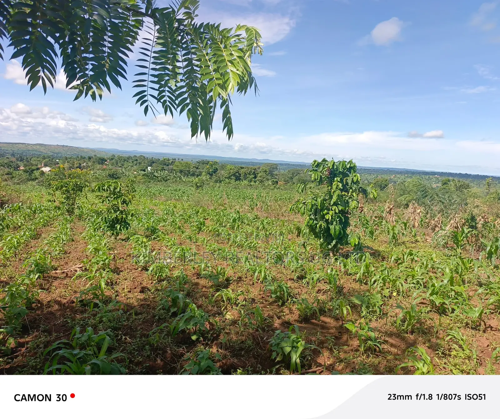  Land for Sale – Rukaaya