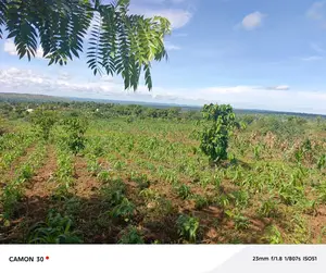  Land for Sale – Rukaaya