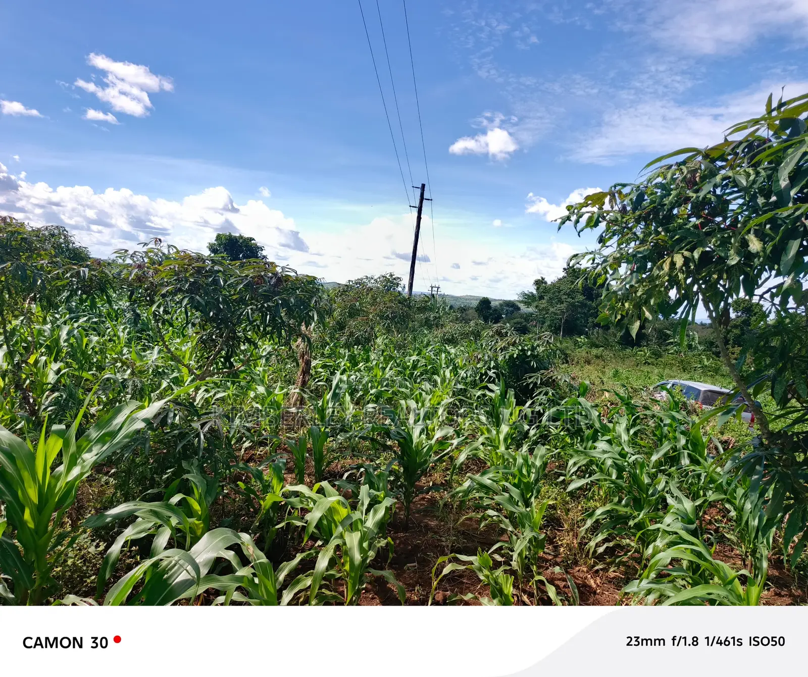  Busika Kalagala Town Council Plots for Sale