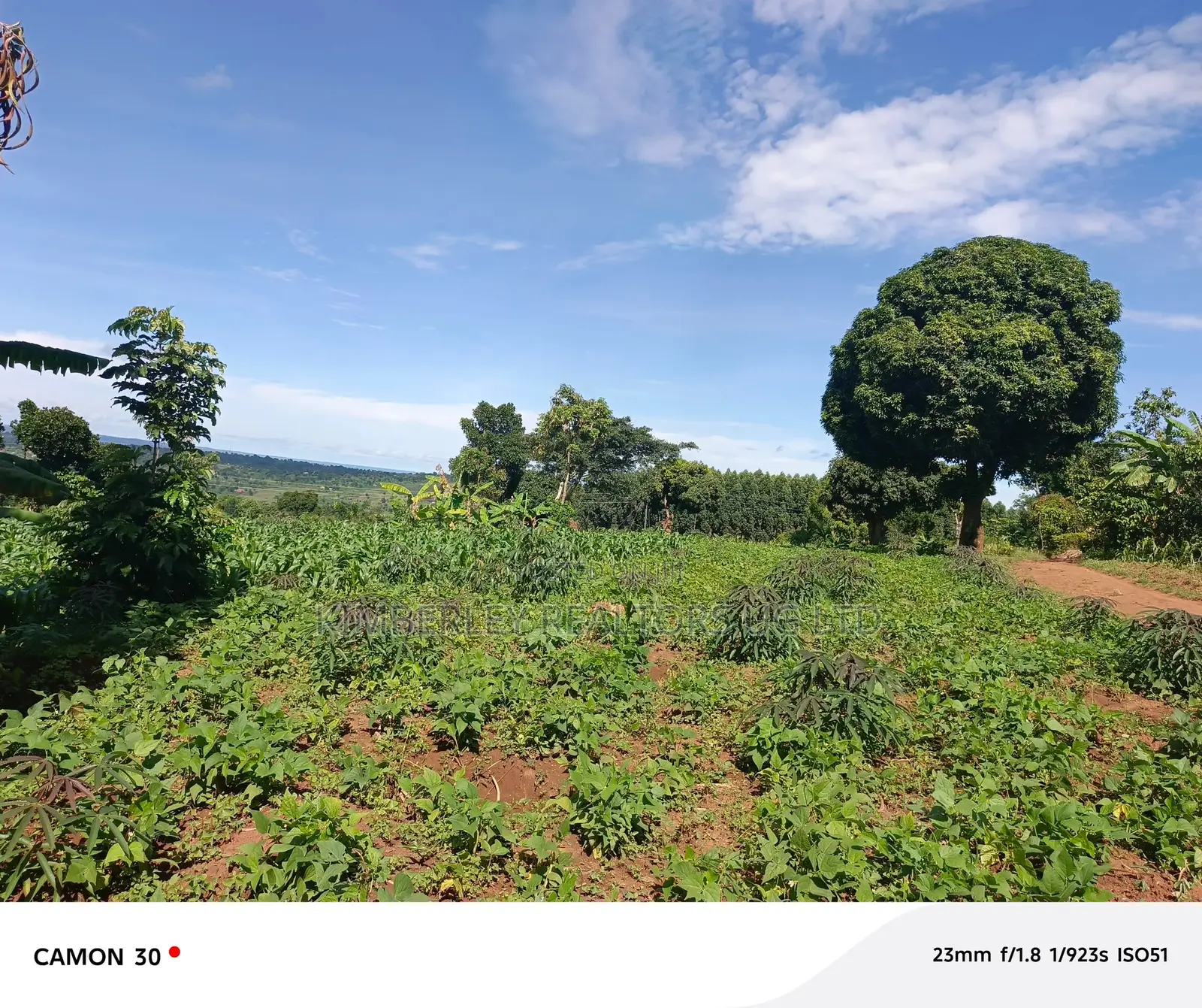  Busika Kalagala Town Council Plots for Sale