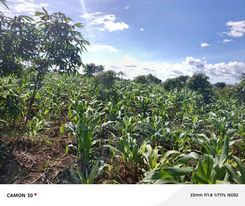 Bujjuko Bulamu Town Estate Prime Residential Plots At 25m