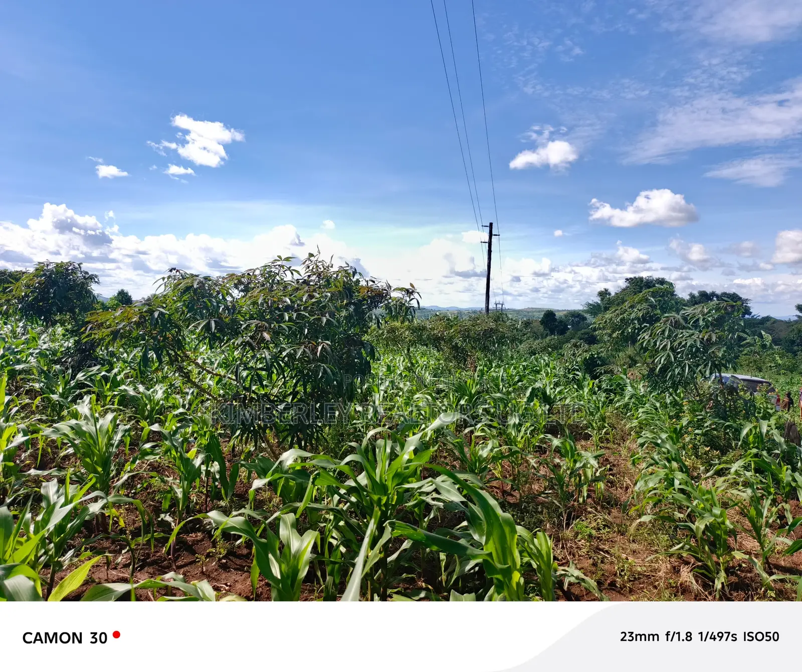 Bujjuko Bulamu Town Estate Prime Residential Plots At 25m