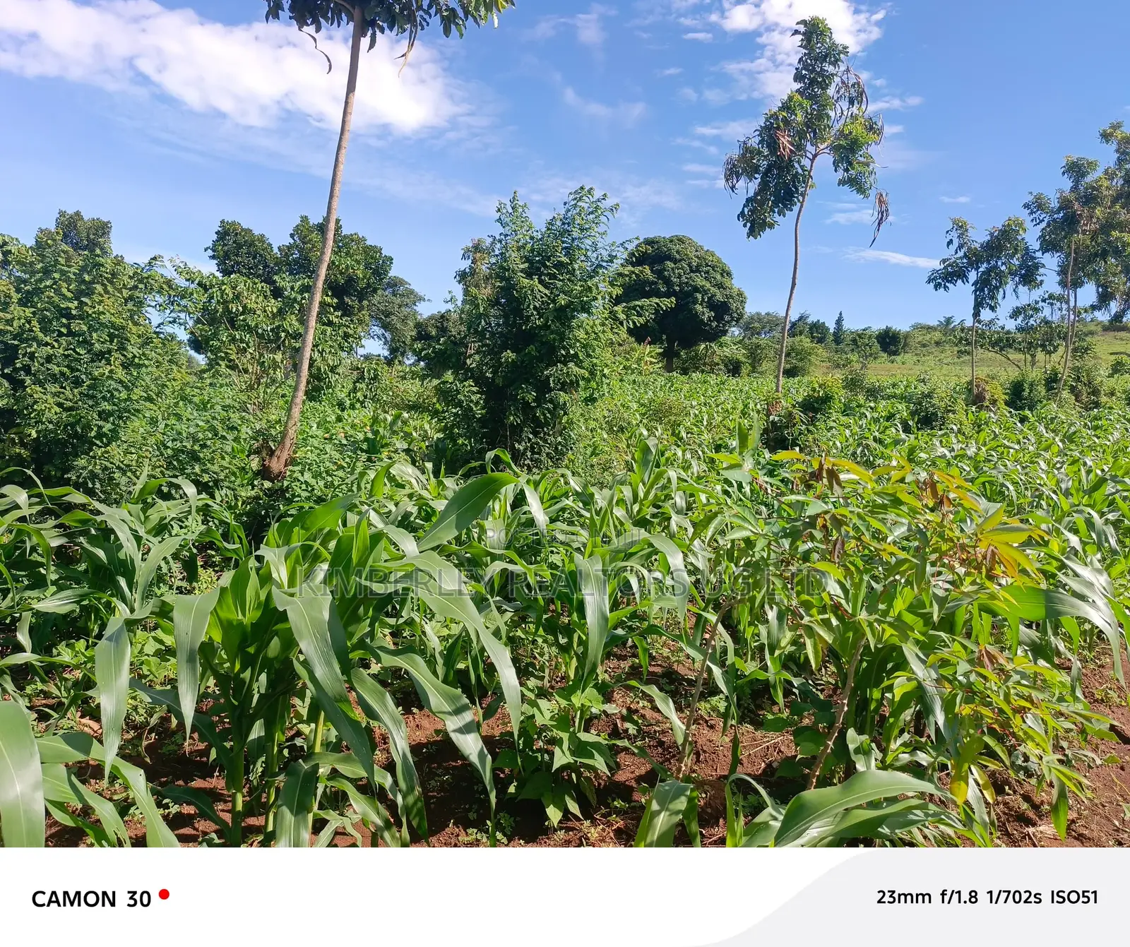 Bujjuko Bulamu Town Estate Prime Residential Plots At 25m