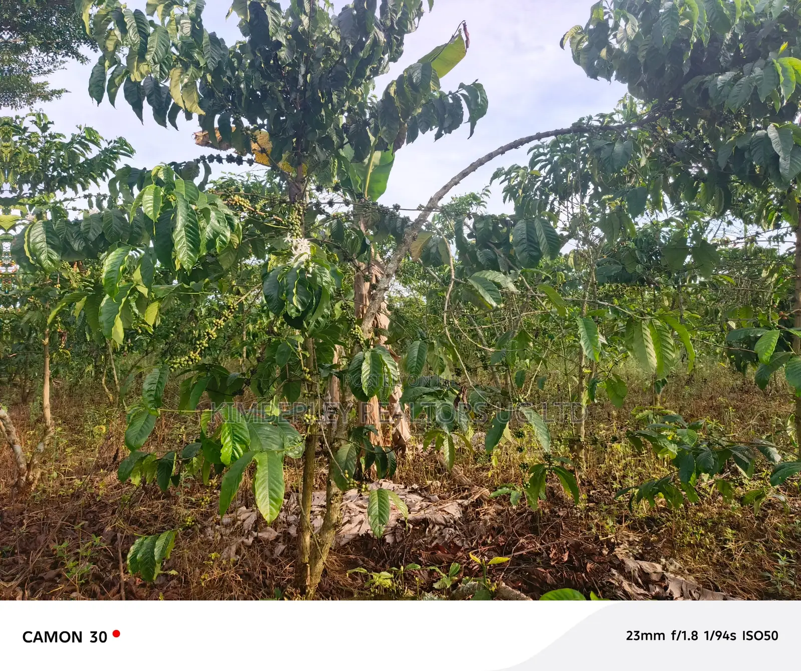 Plot for Sale – Nabinene, Kyotera