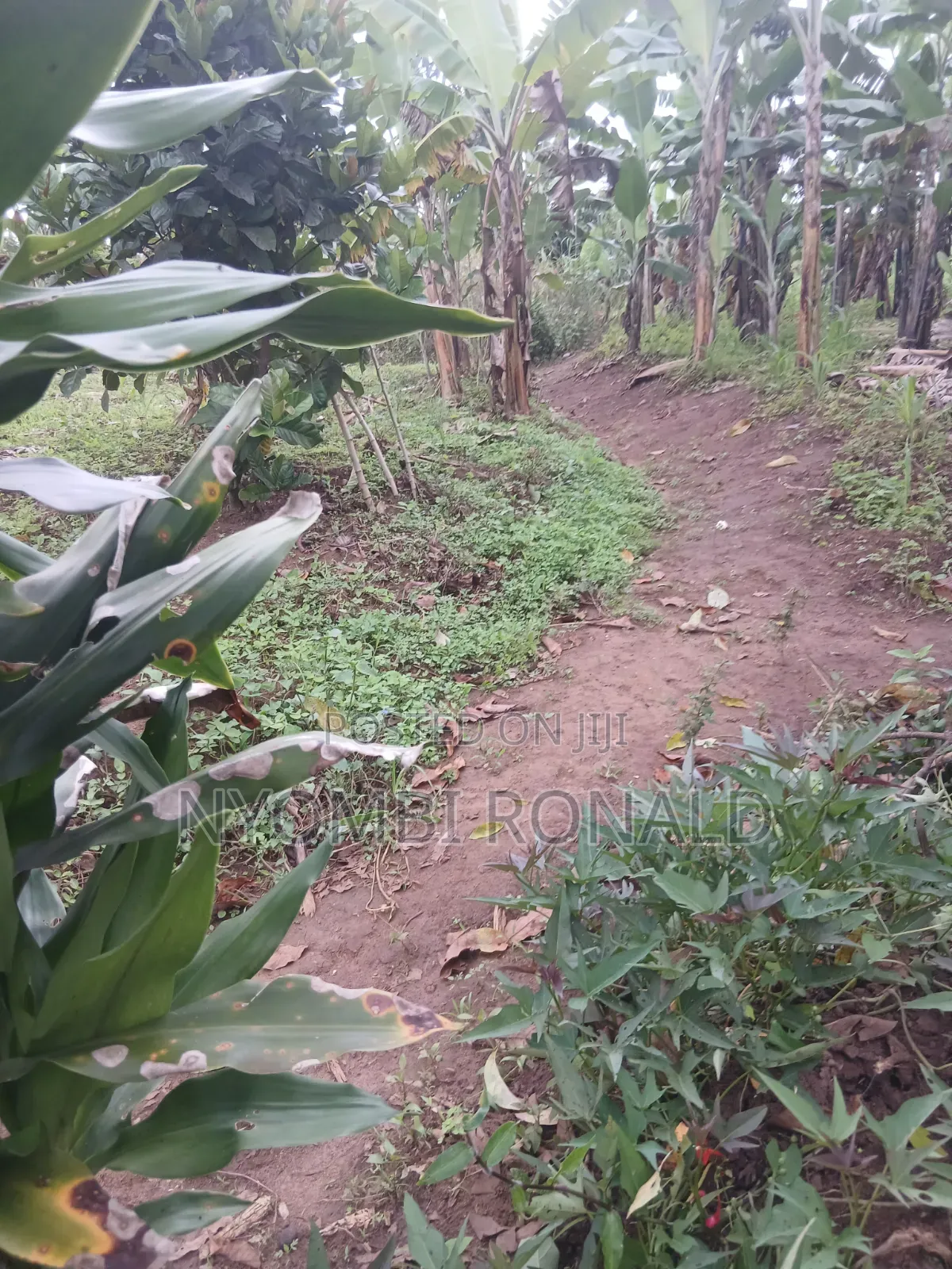 Plot In Katende Kiwamirembe For Sale On Masaka Road