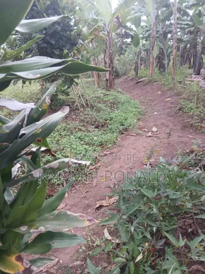 Plot In Katende Kiwamirembe For Sale On Masaka Road