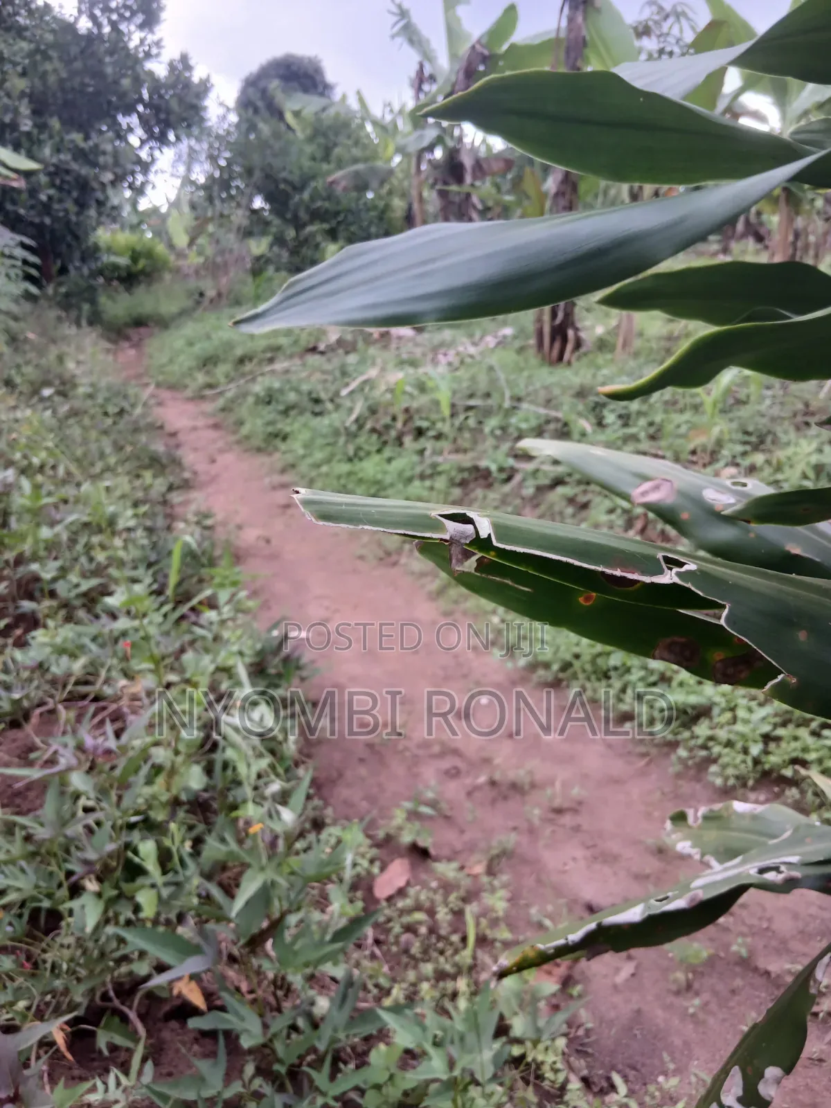 Plot In Katende Kiwamirembe For Sale On Masaka Road