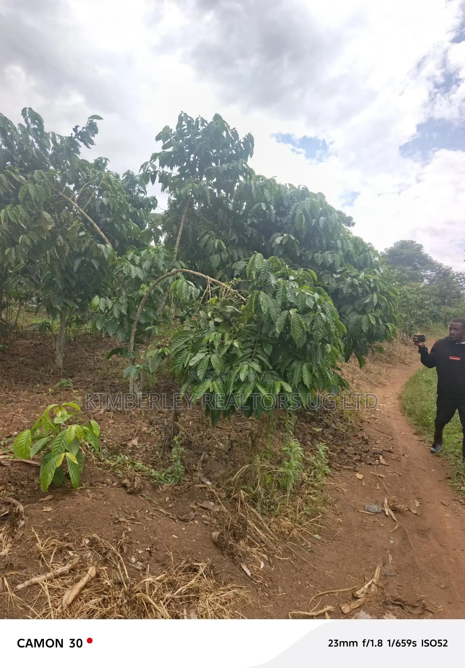  Farmland for Sale – Masaka