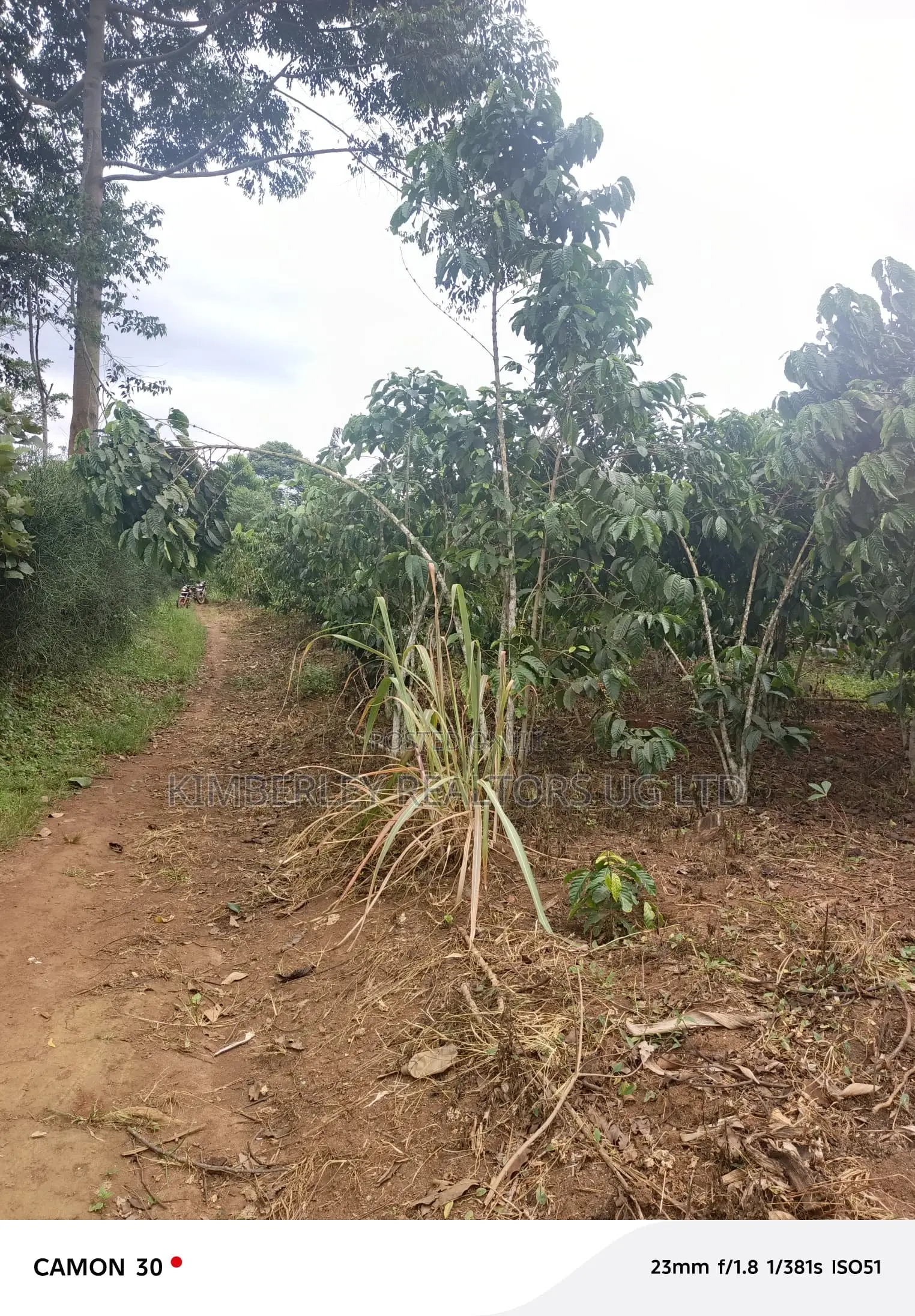  Farmland for Sale – Masaka
