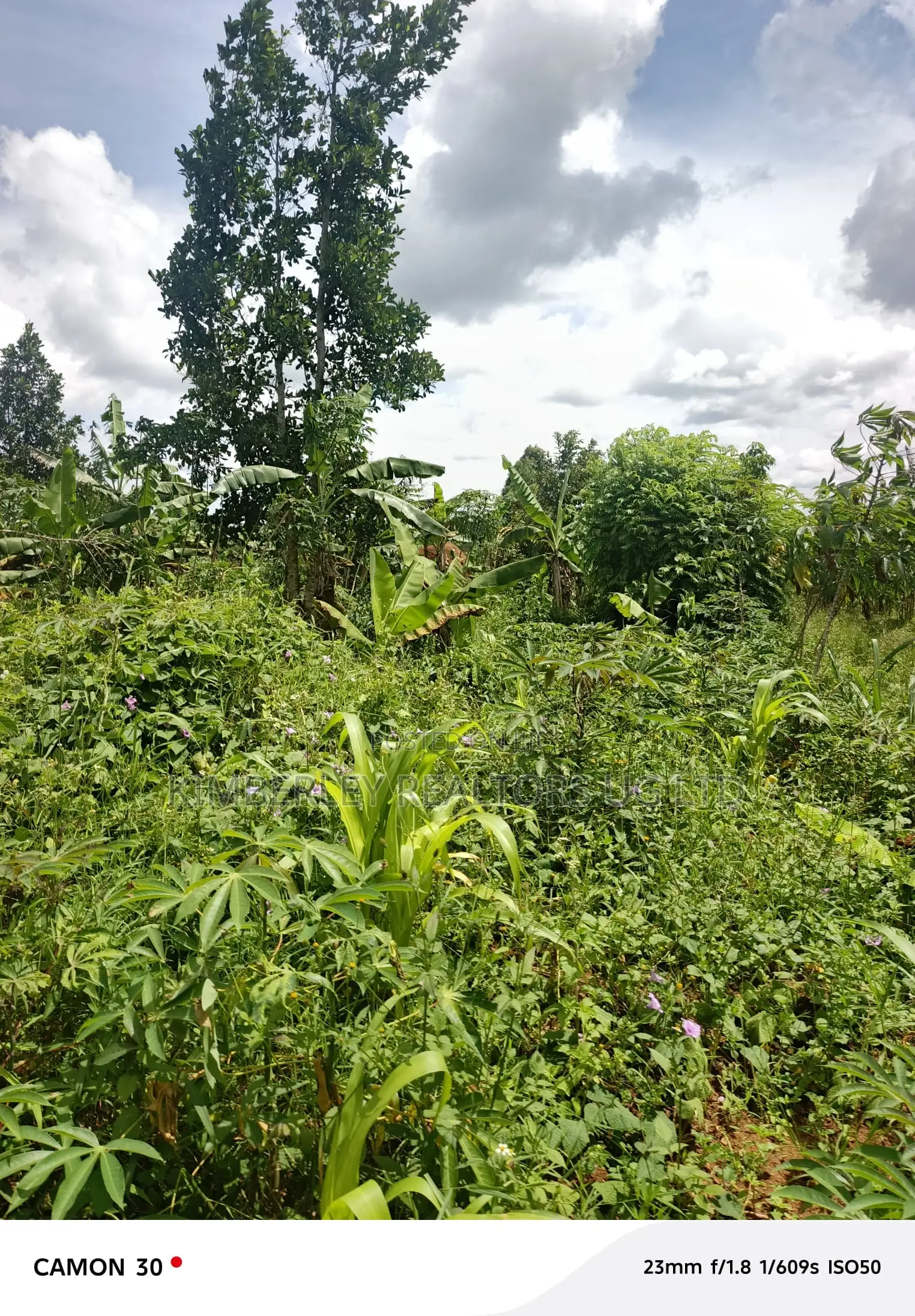 Land for Sale – Kasaka