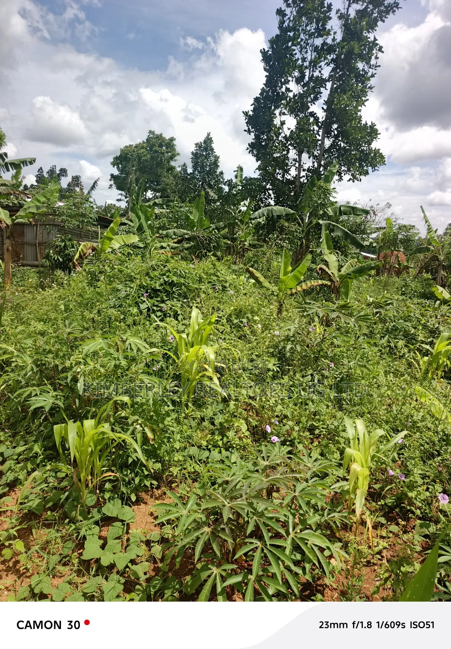 Land for Sale – Kasaka