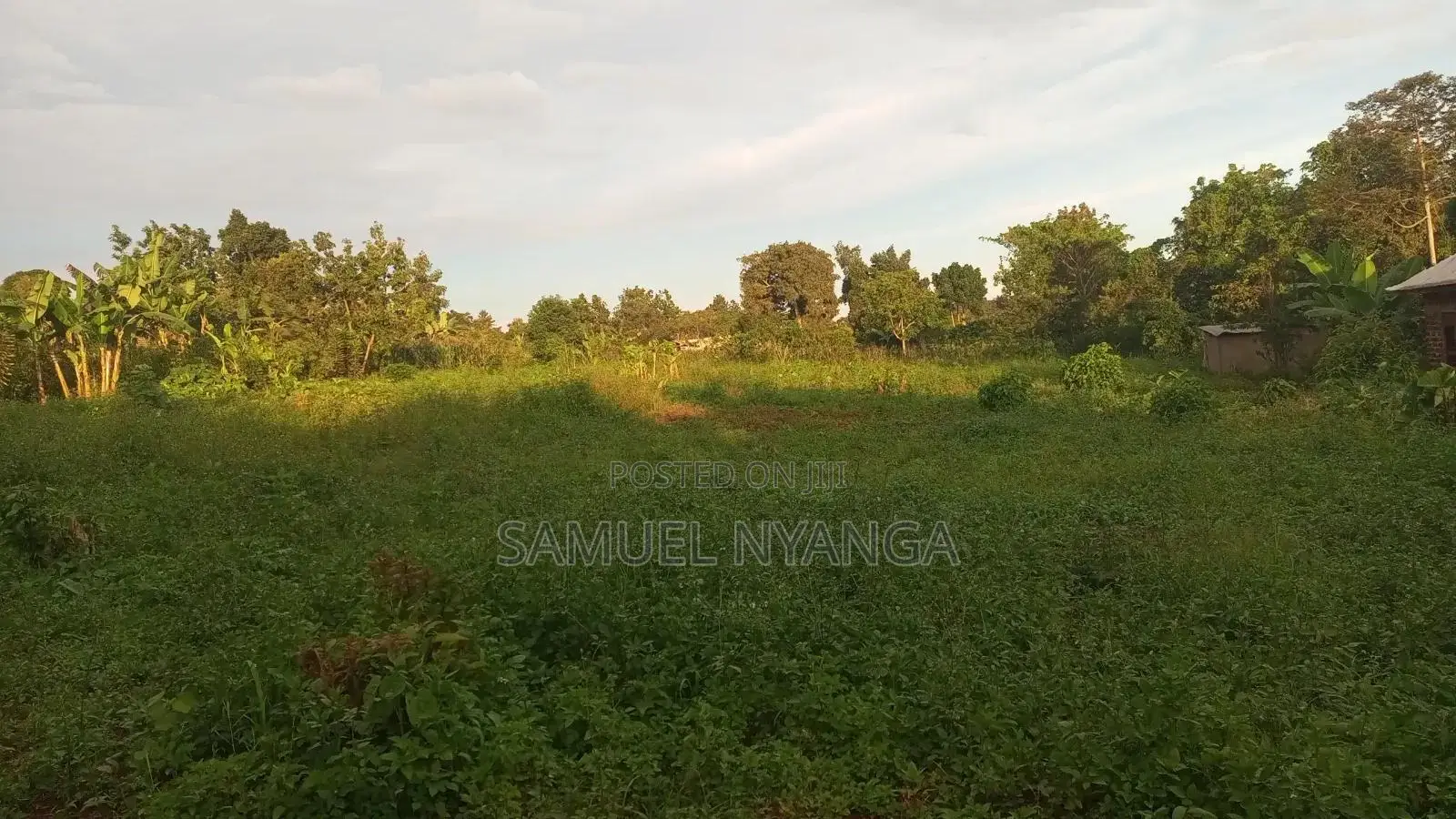 100x100 Ft Plots for Sale