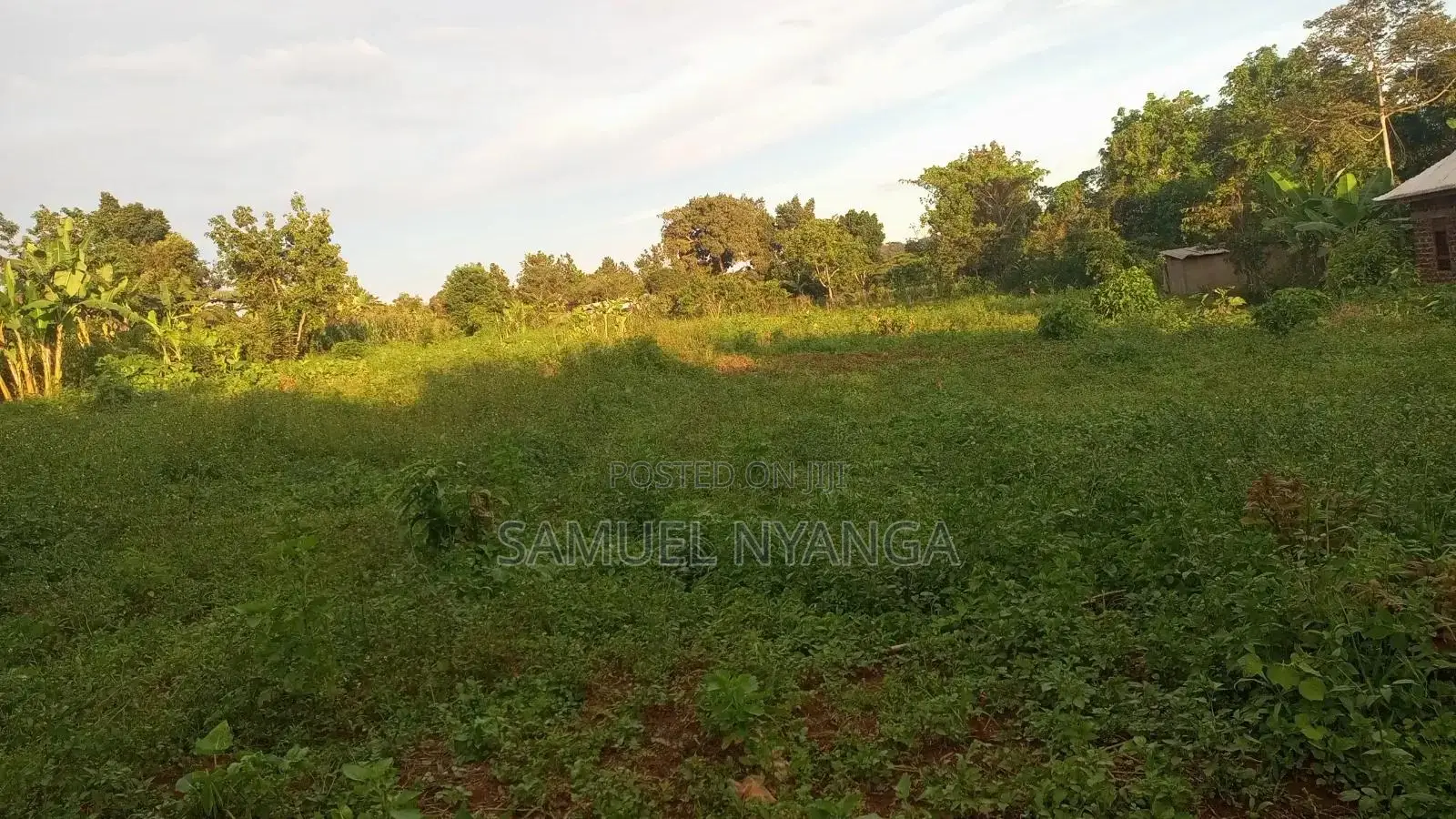 100x100 Ft Plots for Sale