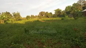 100x100 Ft Plots for Sale