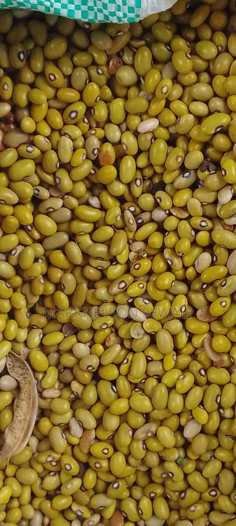 New Season Yellow Beans