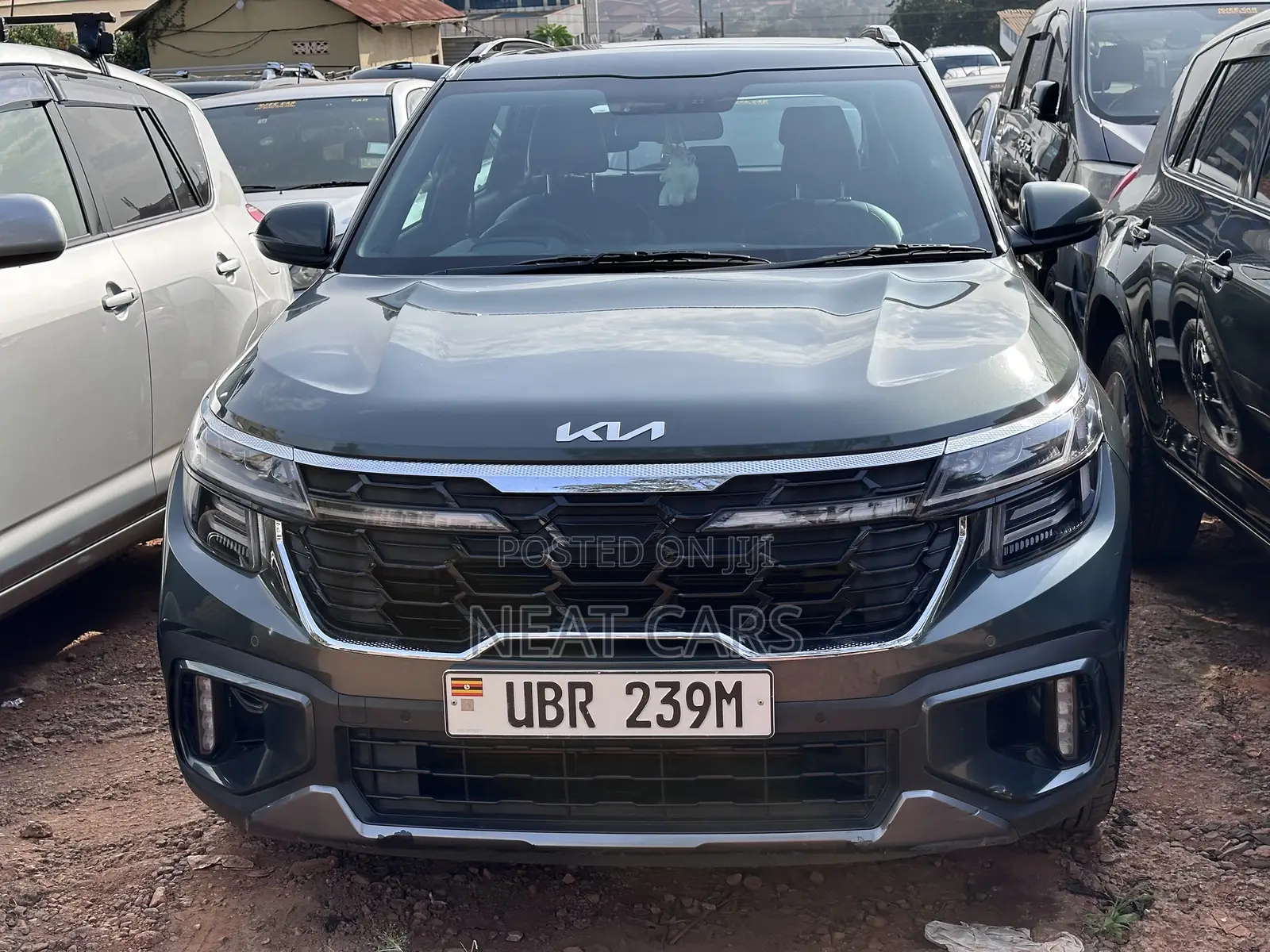 Kia Seltos 2024 Green