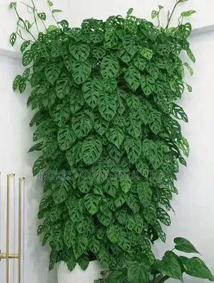 Flower Planters