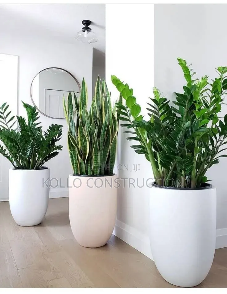 Flower Planters
