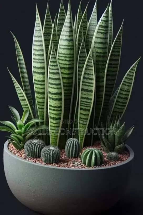 Flower Planters