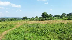 Titled Plots for Sale in Kakiri – Kamuli