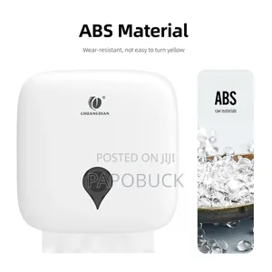 Wall Mounted Paper Towel Dispenser
